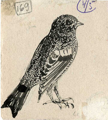 Курдов Валентин Иванович. Лот из восьми иллюстраций к повести В. Бианки, закрепленных на одном паспарту